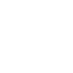 voice